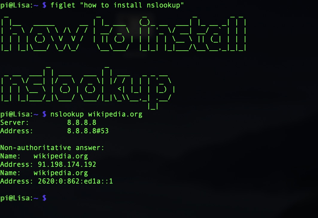Come installare nslookup su Raspberry Pi